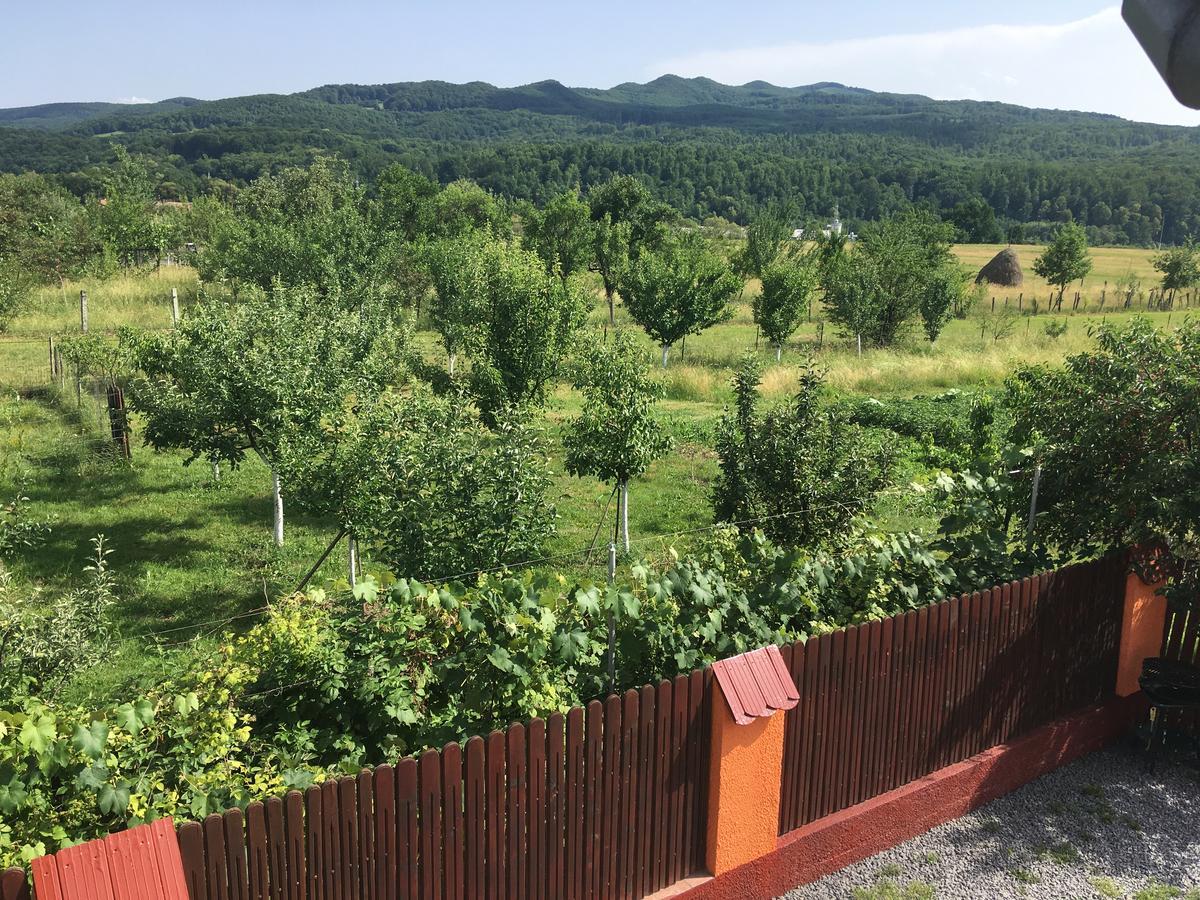 Hotel Casa De Vacanta Orsi Sovata Zewnętrze zdjęcie